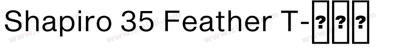 Shapiro 35 Feather T字体转换